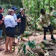 tour-guide-6816049_960_720